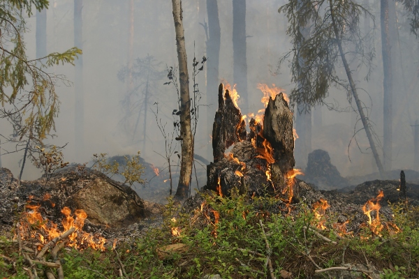 Se suspende clases por incendio en Valle de Bravo