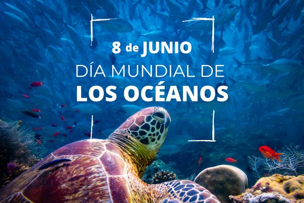 8 Junio, ¡Día mundial de los océanos! 