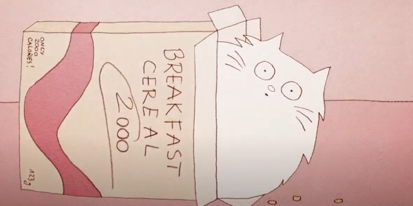 Protección animal: comportamiento de los gatos